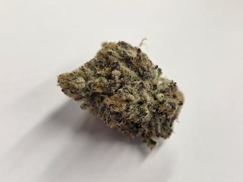 Deep Creek Gardens | Coconut Cream