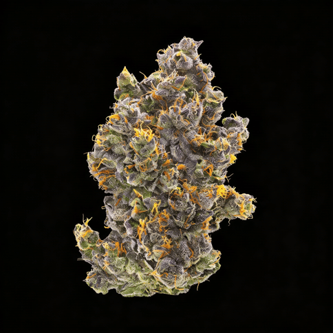 Dr. Funk | Caleta Flower - | 7g