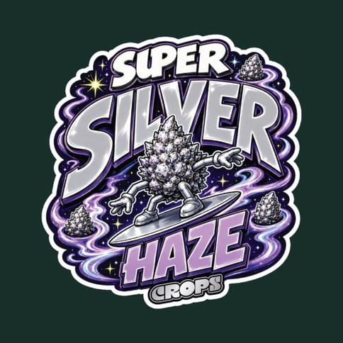 Crops - Flower - Super Silver Haze - 3.5 g