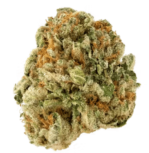 Honey Banana Deli Flower New 25