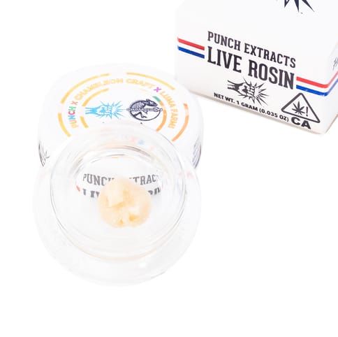 PUNCH - ROSIN BADDER - MANGO MADNESS TIER 1 - 1G