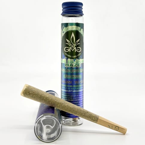 Blue Blooded Haze, 1 JOINT