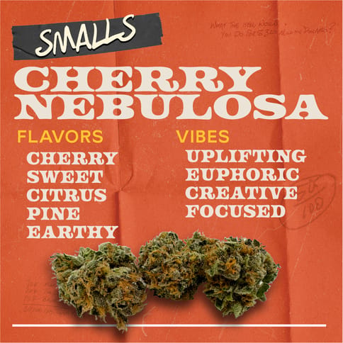 Cherry Nebulosa - 7g Smalls Flower