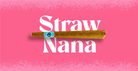 Doinks Blunts - 1g - Strawnana