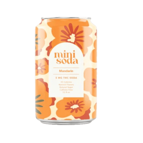 Mini Soda- Mandarin
