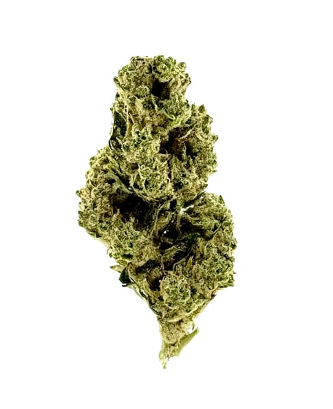 GMO Sungrown