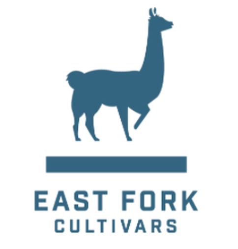 Powell Pre Roll | East Fork Cultivars | Blueberry Balance | 0.5G