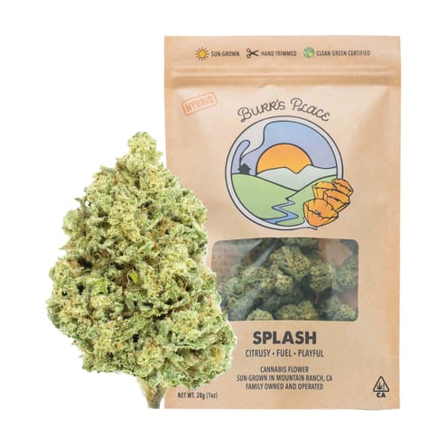 Burr's Place |Splash (H) | 28g Sungrown Flower