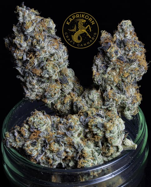 Kaprikorn | Cherry Dosi