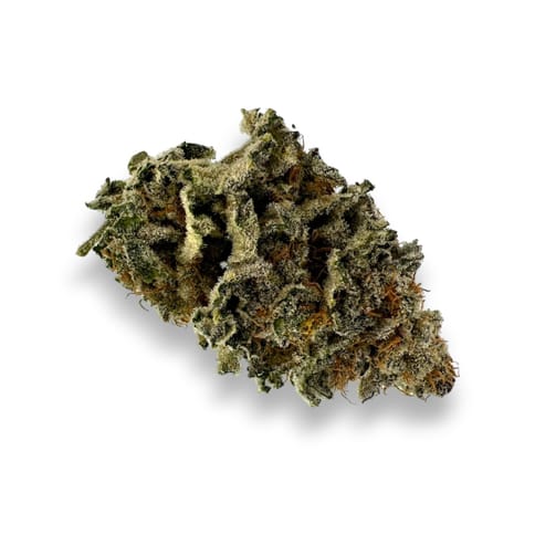 Dream Factory Hybrid