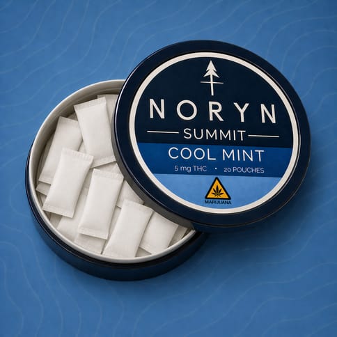 NORYN Pouch - - Cool Mint Summit