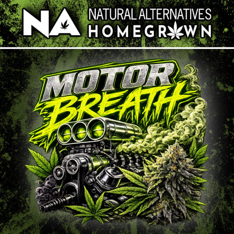 NA Motor Breath