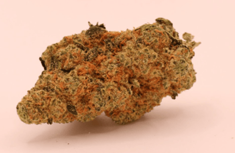 Capital Cherry 23.50% Flower