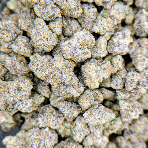 Flap Jacks - Deli Flower - $4/g