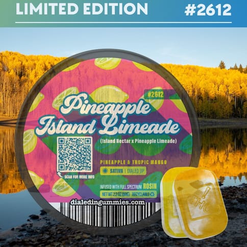 Pineapple Island Lemonade Sativa Rosin Gummies by Dialed In | Golden Rookie