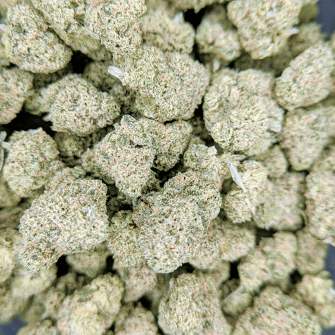 Acapulco Gold - Deli Flower - $6/g