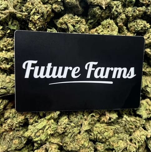 The Vision (Future Farms)