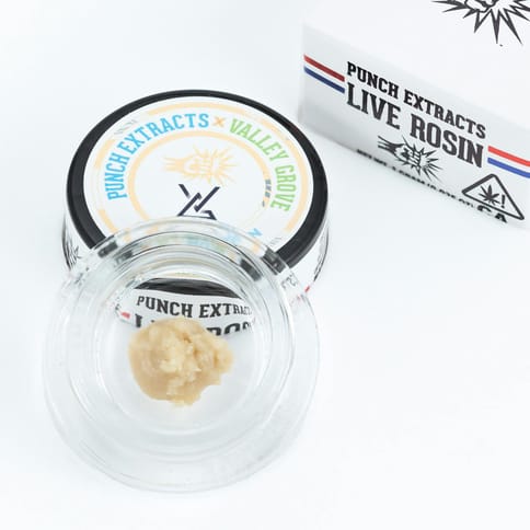 PUNCH - ROSIN BADDER - HONEY HORIZON TIER 3 - 1G