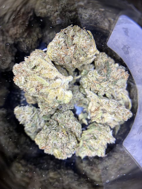 Fog Dog - PreRoll 1g