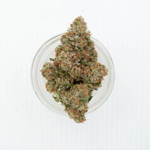 Meowy Jane | Jelly Donutz 3.5 Grams