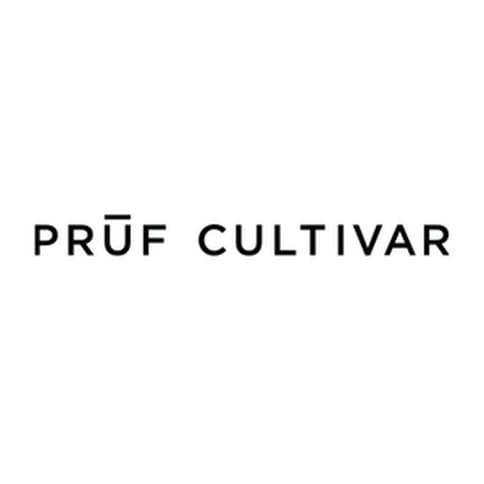 Pruf Cultivar - Ursa Major - Indoor