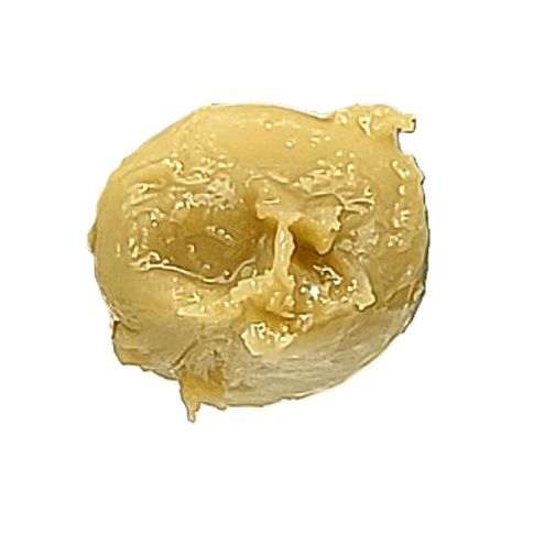 FULL SPECTRUM LIVE ROSIN | BANANA BOTTOM JEANS | HYBRID | 1 GRAM