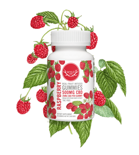 WYLD | REAL FRUIT- HEMP INFUSED GUMMIES | RASPBERRY | 500MG CBD TOTAL | 20 PIECES