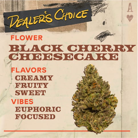 Black Cherry Cheesecake - 3.5g Flower