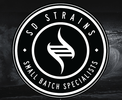 SD STRAINS | GUSH MINTZ | 3.5G