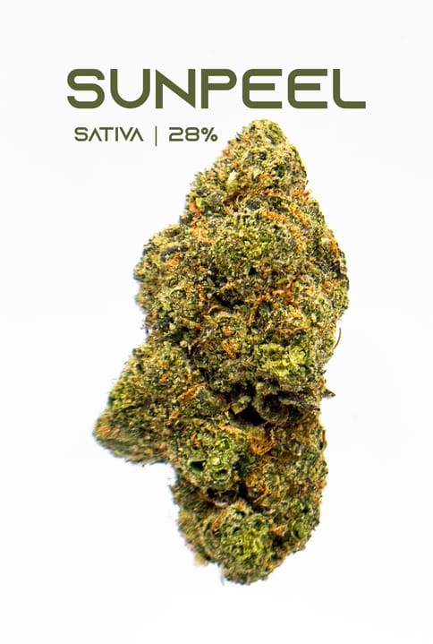 Ardo | Sunpeel | SH | Tier 2 | - 3.5G