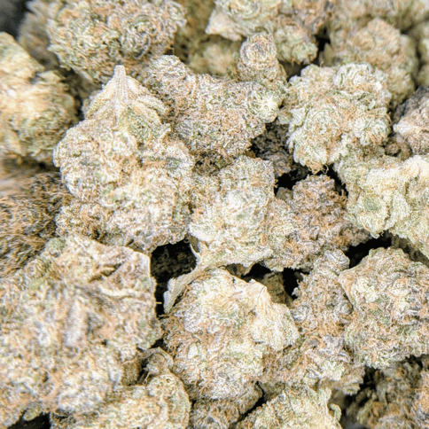 Funk Bomb - Deli Flower - $5/g