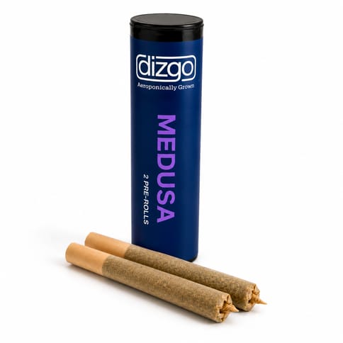 Dizgo Collective | Medusa 2x0.5g Pre-Roll