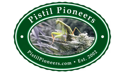 $40 pre weigh OZ Pistil Punch '25 (Pistil Pioneers)
