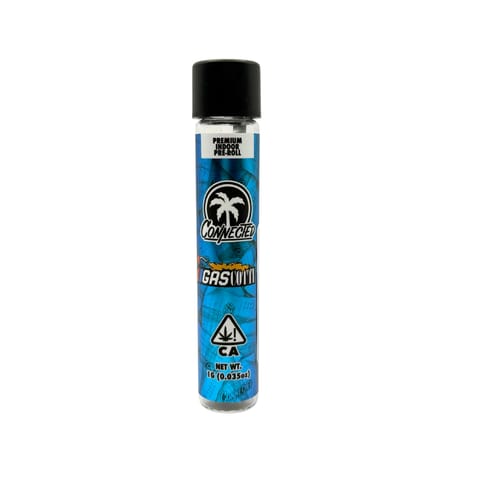 KB - CONNECTED - INDOOR PREROLL - GASCOTTI - 1G