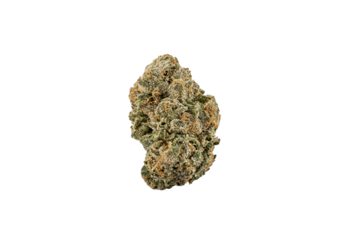Pink Piranha - LL - 3.5G