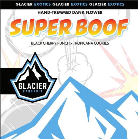 (REC) Glacier Deli Flower - Superboof