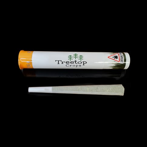 Candyland | Pre-Roll (King)