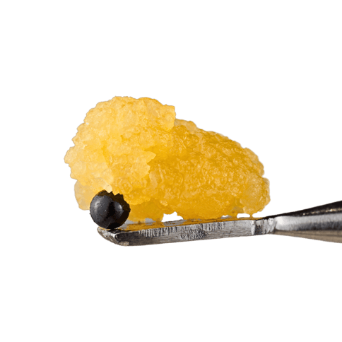 KALI GOLD - Kosher Kush x Zoap Sugar 1G