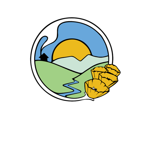 Burr's Place | Ze Chem (S) | 28g Sungrown Flower