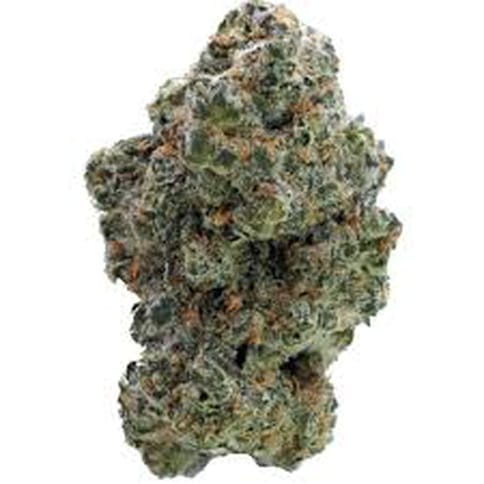 Platinum Punch Breath | Dr. Jc's Exotics - 14g