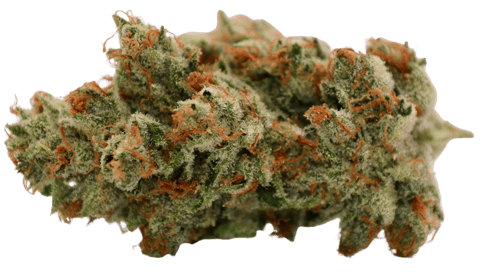 Garlic Drip - Grams (1g)