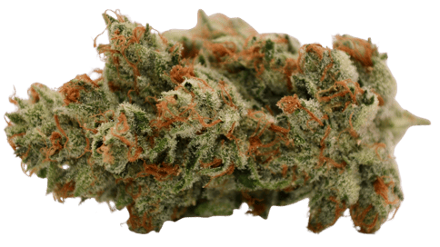 Garlic Drip - Eighth (3.5g)