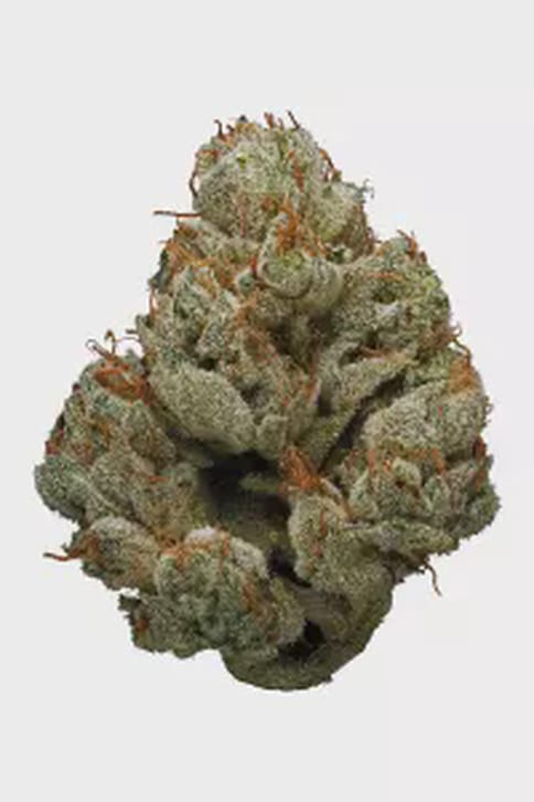D2D | Flower | Pre-Pack 3.5g | 1pk | Pineapple Donut (HYB) | Assorted