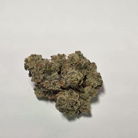 Eugreen Farms | Gumbo