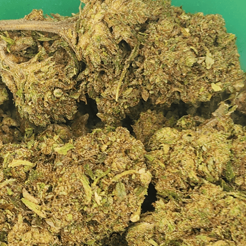 GreenCo | Sherbcake x Blue Star | Hybrid | 28g | Flower