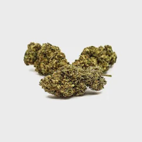 Maggie's Essentials | Blue Chocolate | H | 14g