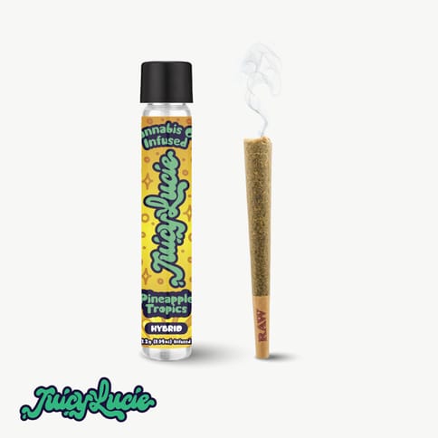 CC- Juicy Lucie Pineapple Tropics- 1.2G Infused
