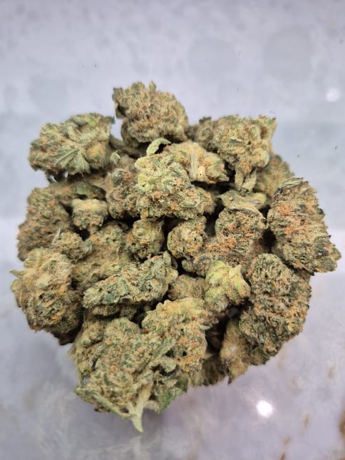 Golden Tropic