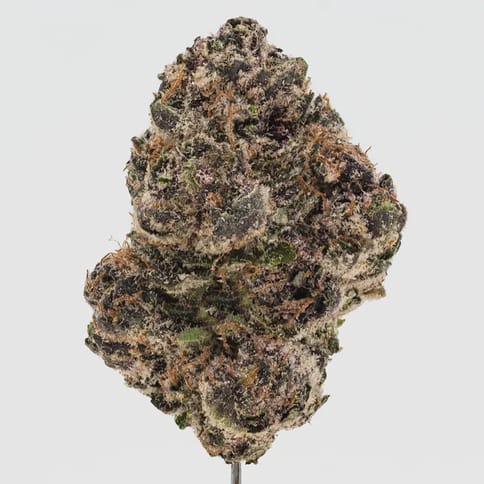 Grape Gas Smalls Deli Flower
