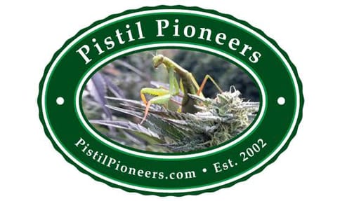 $30 Pre-weighed OZ | Pistil Pioneers | Pistil Punch